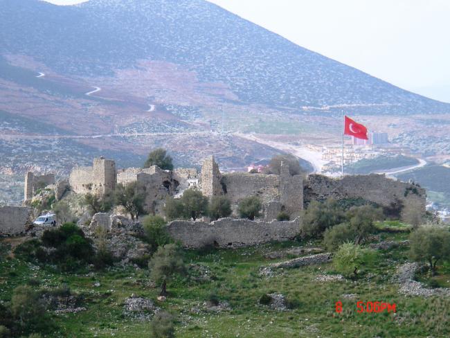 Name:  Karapaa-Kale.jpg
Views: 2567
Size:  58.6 KB