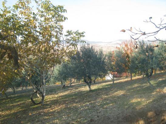 Name:  sonbahar2.jpg
Views: 1020
Size:  50.9 KB