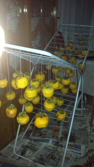 Name:  ABCD0003.JPG
Views: 1165
Size:  54.3 KB