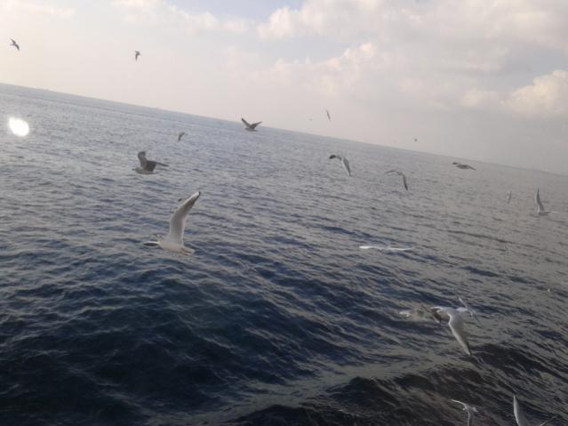 Name:  20121121_123918.jpg
Views: 3551
Size:  35.8 KB