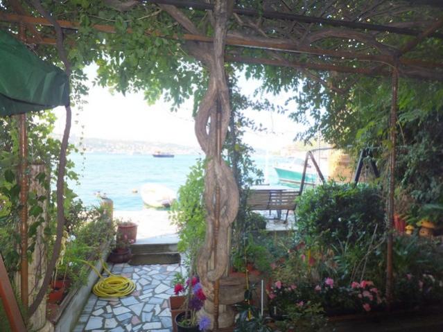 Name:  DSCF7434.jpg
Views: 334
Size:  58.5 KB