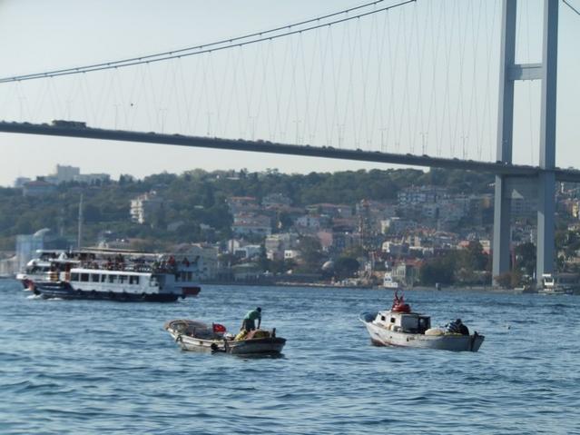 Name:  DSCF7440.jpg
Views: 328
Size:  45.4 KB