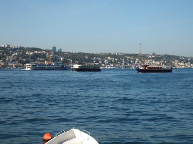Name:  DSCF7442.jpg
Views: 303
Size:  36.4 KB