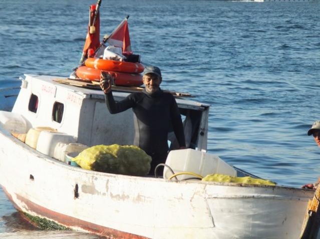 Name:  DSCF7470.jpg
Views: 305
Size:  47.0 KB