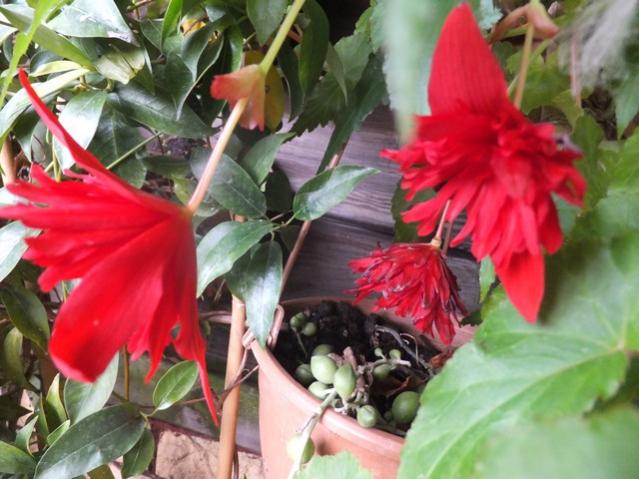 Name:  DSCF7924.jpg
Views: 296
Size:  50.8 KB