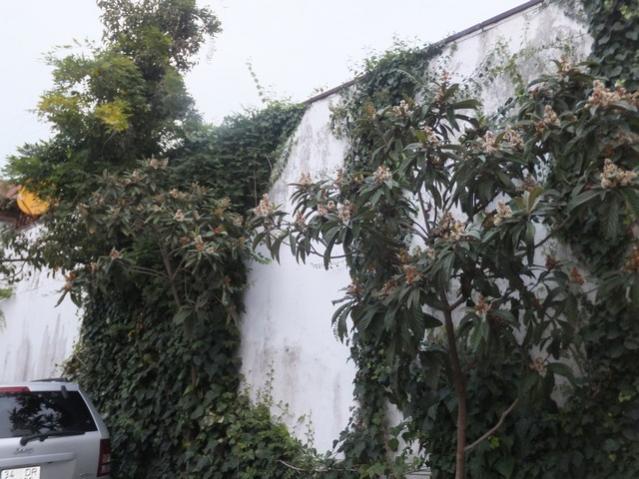 Name:  DSCF8223.jpg
Views: 255
Size:  57.5 KB
