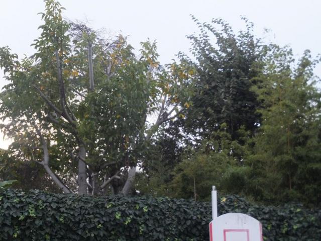 Name:  DSCF8225.jpg
Views: 268
Size:  58.8 KB