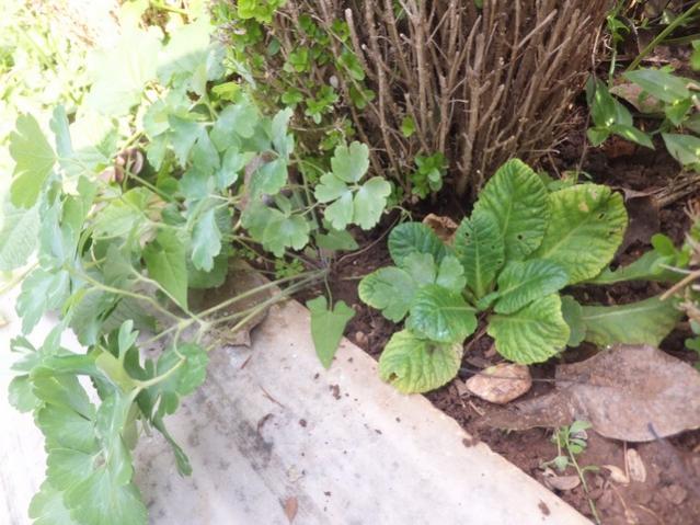 Name:  DSCF8267.jpg
Views: 340
Size:  58.2 KB