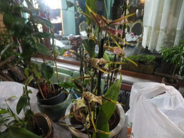Name:  DSCF8268.jpg
Views: 373
Size:  47.1 KB