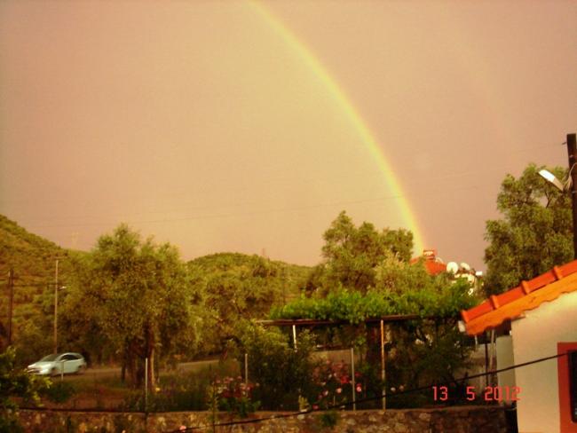 Name:  DSC02784.jpg
Views: 1549
Size:  35.8 KB