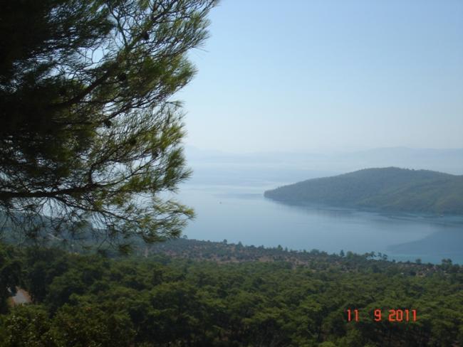 Name:  Akbk-3.jpg
Views: 2187
Size:  43.0 KB