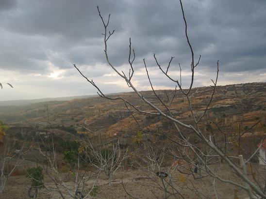 Name:  sonbahar4.JPG
Views: 898
Size:  47.9 KB