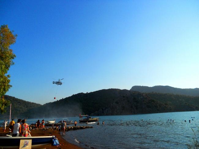 Name:  yangn.jpg
Views: 560
Size:  32.9 KB