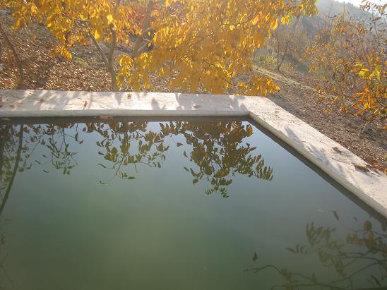Name:  sonbahar.JPG
Views: 1124
Size:  58.1 KB