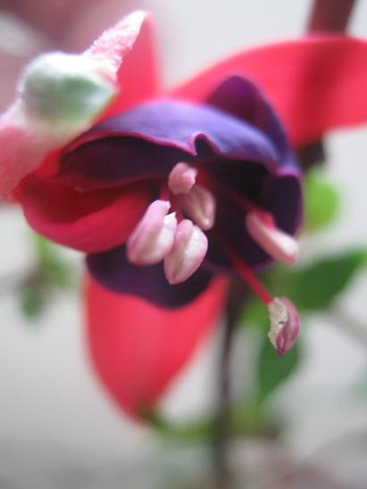 Name:  kpe.JPG
Views: 1283
Size:  25.9 KB