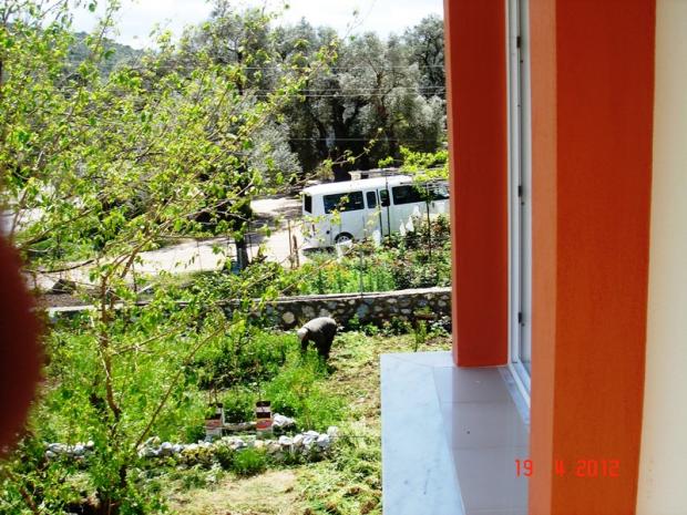 Name:  DSC02635.jpg
Views: 809
Size:  71.3 KB