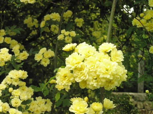 Name:  17.04.08 017.jpg
Views: 1900
Size:  55.0 KB