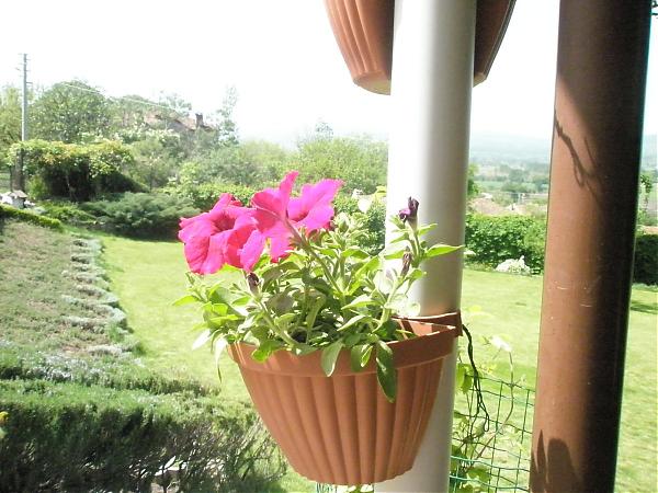 Name:  17.04.08 086.jpg
Views: 1994
Size:  55.4 KB