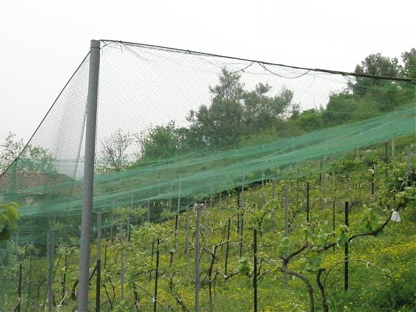 Name:  17.04.08 030.jpg
Views: 1989
Size:  53.4 KB