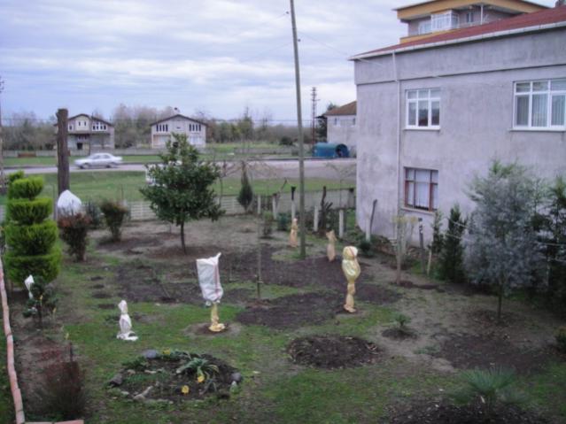 Name:  682.jpg
Views: 561
Size:  44.7 KB