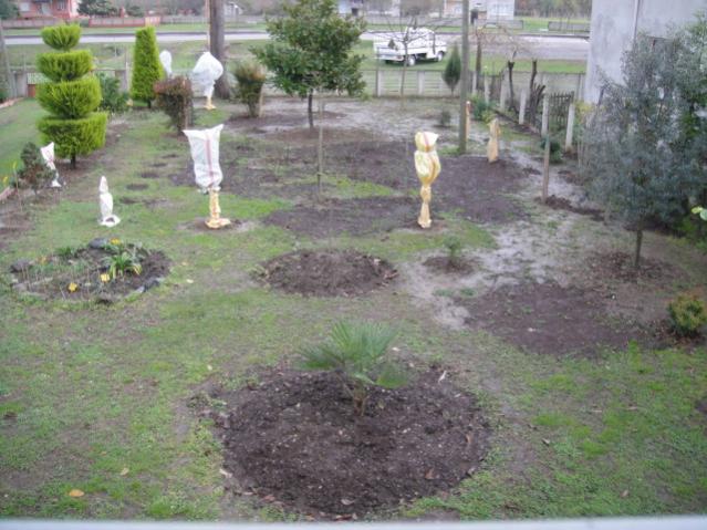 Name:  621.jpg
Views: 579
Size:  56.5 KB