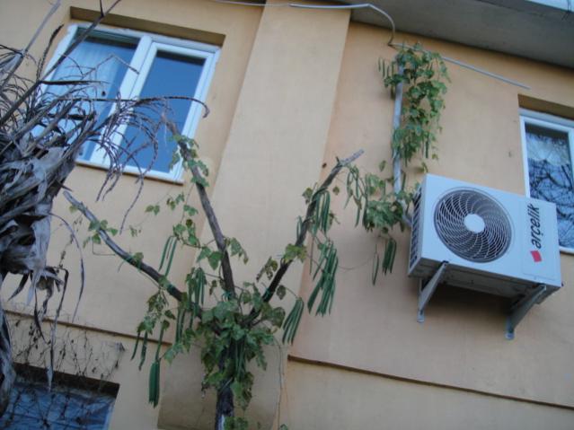 Name:  028.jpg
Views: 541
Size:  43.4 KB