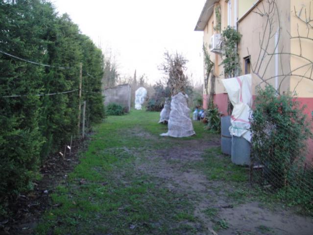 Name:  002.jpg
Views: 549
Size:  48.0 KB