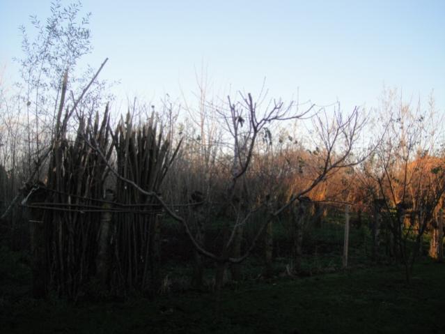 Name:  126.jpg
Views: 542
Size:  38.8 KB