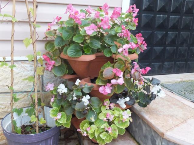 Name:  DSCF8406.jpg
Views: 383
Size:  54.4 KB