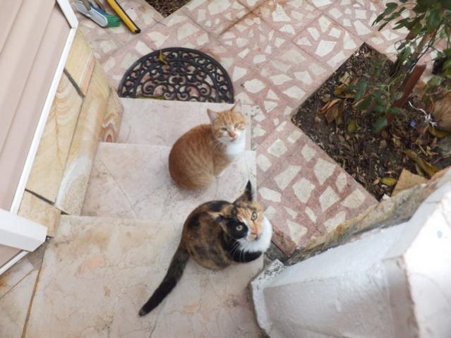 Name:  DSCF8456.jpg
Views: 391
Size:  46.9 KB