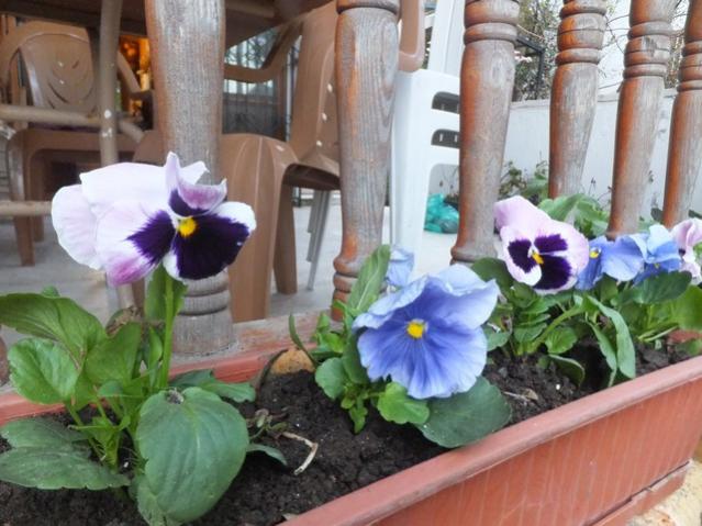 Name:  DSCF8487.jpg
Views: 351
Size:  51.5 KB