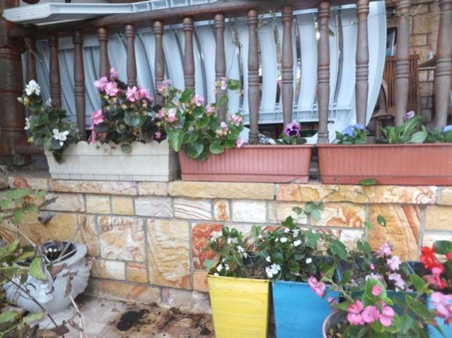 Name:  DSCF8498.jpg
Views: 369
Size:  60.2 KB
