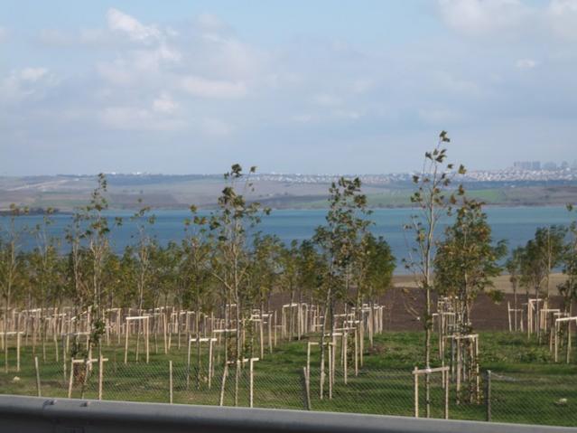 Name:  DSCF8535.jpg
Views: 333
Size:  40.4 KB