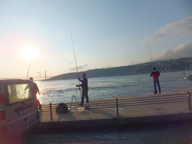 Name:  DSCF8540.jpg
Views: 343
Size:  58.3 KB