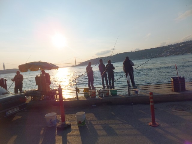 Name:  DSCF8541.jpg
Views: 363
Size:  62.7 KB