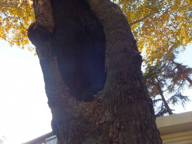 Name:  DSCF8551.jpg
Views: 344
Size:  44.0 KB