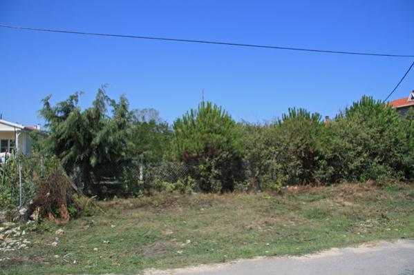 Name:  _MG_4203.jpg
Views: 1799
Size:  36.7 KB