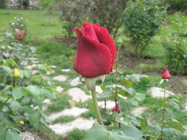 Name:  yeni resimler 012.jpg
Views: 1824
Size:  43.3 KB