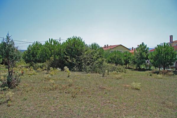 Name:  _MG_4191.jpg
Views: 1895
Size:  40.4 KB