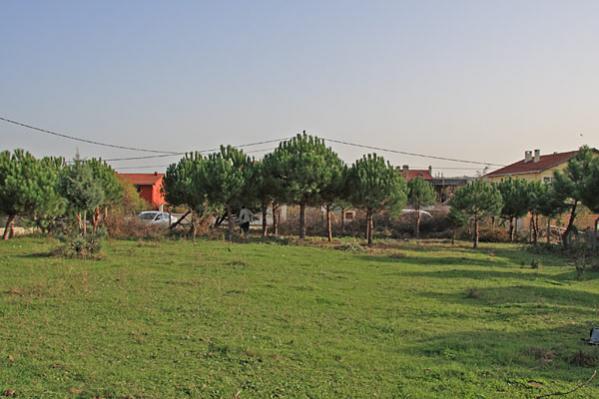 Name:  _MG_5955.jpg
Views: 1791
Size:  35.9 KB