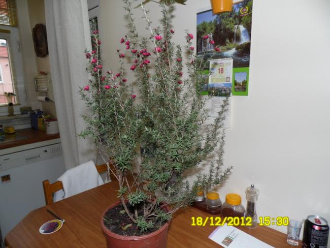 Name:  043.jpg
Views: 1368
Size:  47.3 KB