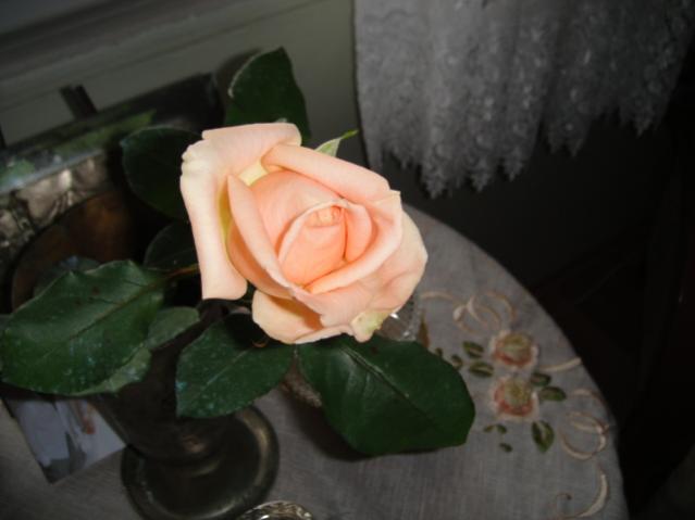 Name:  049.jpg
Views: 1147
Size:  25.7 KB