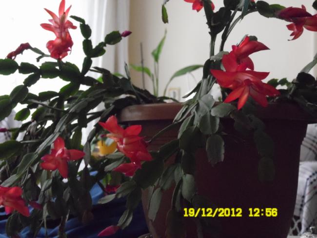 Name:  044.jpg
Views: 1214
Size:  41.3 KB