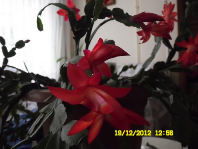 Name:  041.jpg
Views: 1171
Size:  31.4 KB