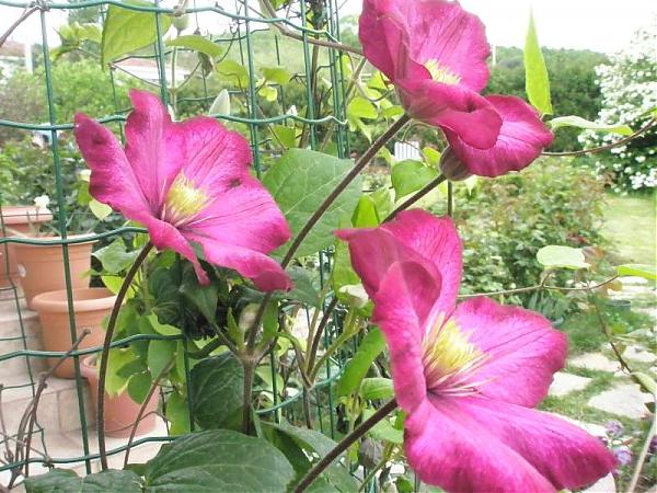 Name:  yeni resimler 002.jpg
Views: 2091
Size:  66.7 KB
