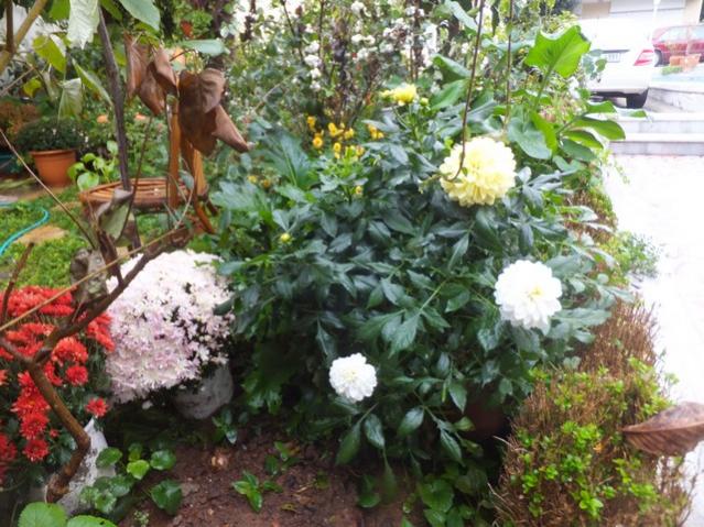 Name:  DSCF8325.jpg
Views: 267
Size:  69.3 KB