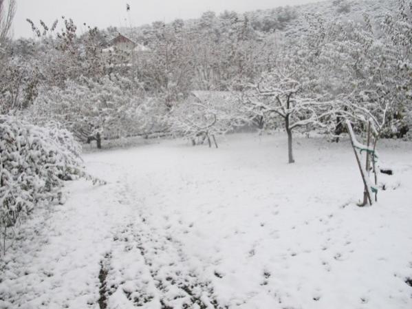 Name:  IMG_0422 (600 x 450).jpg
Views: 1484
Size:  43.6 KB