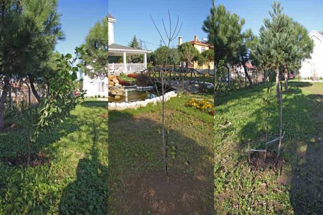Name:  Untitled-1.jpg
Views: 2161
Size:  64.5 KB