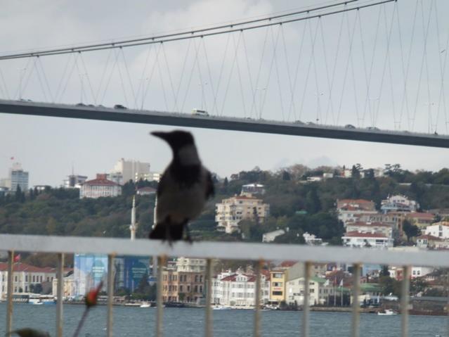 Name:  DSCF8733.jpg
Views: 471
Size:  36.2 KB