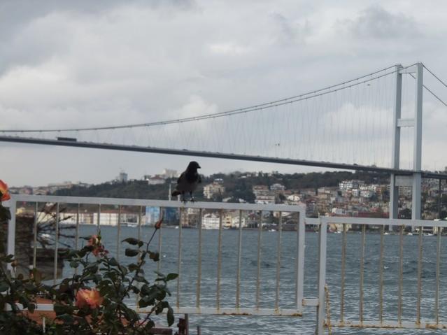 Name:  DSCF8734.jpg
Views: 452
Size:  38.8 KB